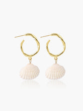 Shell Drop Earrings
